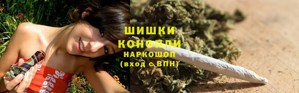 прущие грибы Бронницы
