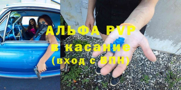 прущие грибы Бронницы