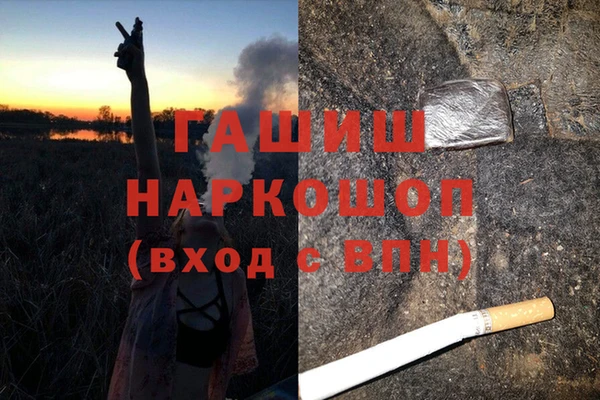 гашик Бородино