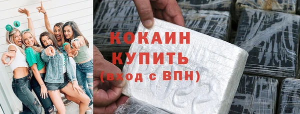прущие грибы Бронницы