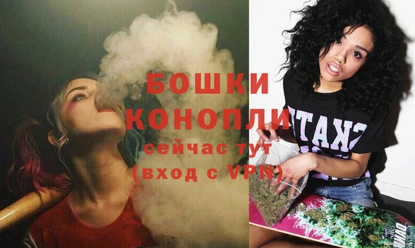 прущие грибы Бронницы