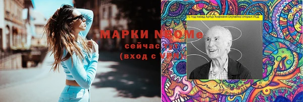 гашик Бородино
