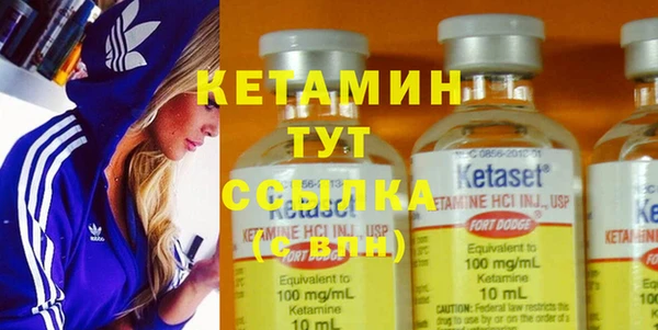 прущие грибы Бронницы
