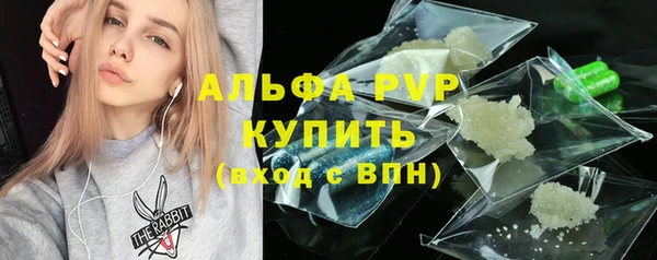 прущие грибы Бронницы