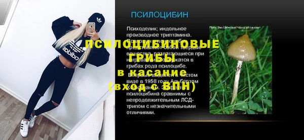 прущие грибы Бронницы