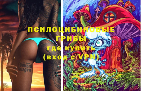 прущие грибы Бронницы