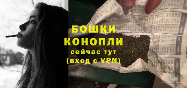 прущие грибы Бронницы