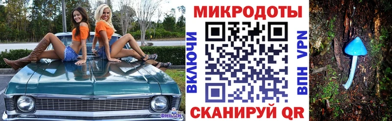 закладки darknet какой сайт Псилоцибиновые грибы мицелий Боготол